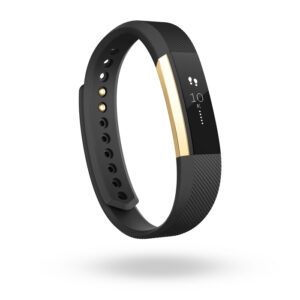 Fit bit: the future of wearable technology